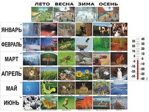 Фенологические наблюдения - fgospostavki.ru - Яблоновский