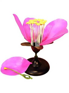 Модель цветка яблони - fgospostavki.ru - Яблоновский