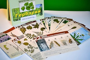 Гербарий к курсу основ общей биологии - fgospostavki.ru - Яблоновский
