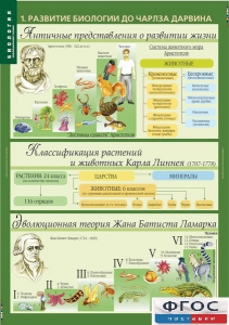Комплект таблиц. Биология 10-11 класс. Эволюционное учение. - fgospostavki.ru - Яблоновский