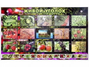 Комплект оборудования "Живой уголок" (растения) с тифлопереводом и сурдокомментариями - fgospostavki.ru - Яблоновский