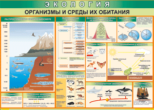 Таблица "Организмы и среды их обитания" (100х140 сантиметров, винил) - fgospostavki.ru - Яблоновский