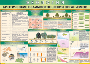 Таблица "Биотические взаимоотношения организмов" (100х140 сантиметров, винил) - fgospostavki.ru - Яблоновский