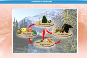 Интерактивные курсы. Биология 7 класс. Базовый. - fgospostavki.ru - Яблоновский