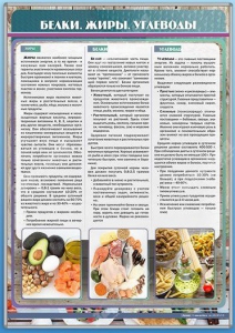 Стенд "Белки. Жиры. Углеводы" - fgospostavki.ru - Яблоновский