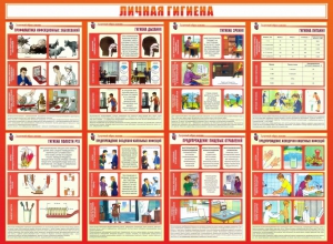 Стенд "Личная гигиена" - fgospostavki.ru - Яблоновский