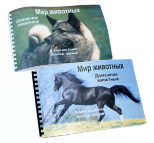 Пособие для слабовидящих - Домашние животные - fgospostavki.ru - Яблоновский