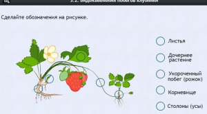 Интерактивные курсы. Биология 7 класс. Расширенный. - fgospostavki.ru - Яблоновский