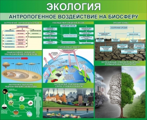 Стенд "Экология. Антропогенное воздействие на биосферу" - fgospostavki.ru - Яблоновский