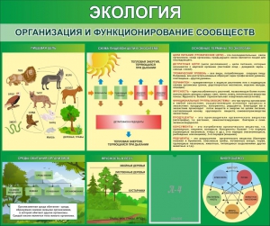 Стенд "Экология. Организация и функционирование сообществ" - fgospostavki.ru - Яблоновский
