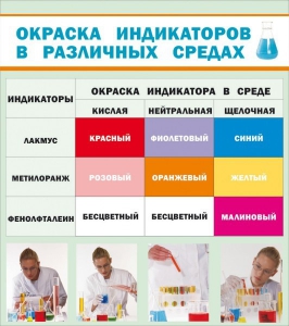 Стенд "Окраска индикаторов в различных средах" - fgospostavki.ru - Яблоновский