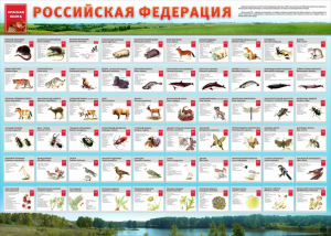 Стенд "Красная книга РФ" - fgospostavki.ru - Яблоновский