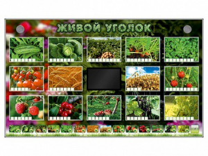 Комплект оборудования "Живой уголок" (растения) - fgospostavki.ru - Яблоновский
