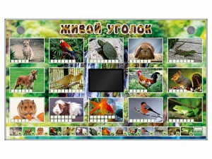 Комплект оборудования "Живой уголок" (животные) - fgospostavki.ru - Яблоновский