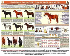 Комплект плакатов "Служебное коневодство" - fgospostavki.ru - Яблоновский