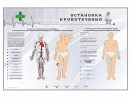 Электрифицированный стенд "Остановка кровотечения" - fgospostavki.ru - Яблоновский