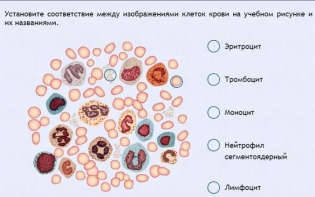 Интерактивные курсы. Биология 11 класс. Расширенный. - fgospostavki.ru - Яблоновский