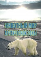 DVD "Животный мир Арктической зоны" - fgospostavki.ru - Яблоновский