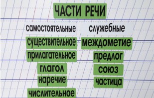 Набор магнитных карточек "Части речи" (фон зелёный) - fgospostavki.ru - Яблоновский