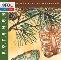 Ботаника. Микрофотографии. (Цифровая база изображений) - fgospostavki.ru - Яблоновский