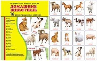 Демонстрационные карточки "Домашние животные" - fgospostavki.ru - Яблоновский