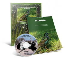 Электронное наглядное пособие «Птицы» - fgospostavki.ru - Яблоновский