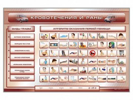 Трехсекционный базовый комплект "Травмы. Кровотечения. Ожоги" для учащихся общеобразовательных учреждений - fgospostavki.ru - Яблоновский