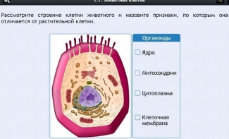 Интерактивные курсы. Биология 8 класс. Базовый - fgospostavki.ru - Яблоновский