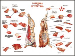 Таблица "Правила разделки мясных туш. Говядина и телятина" (100х140 сантиметров, винил) - fgospostavki.ru - Яблоновский