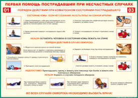 Таблица "Порядок действий при коматозном состоянии пострадавшего" (100х140 сантиметров, винил) - fgospostavki.ru - Яблоновский