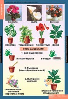 Комплект таблиц. Окружающий мир 1 класс. - fgospostavki.ru - Яблоновский