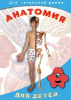 DVD "Анатомия для детей" - fgospostavki.ru - Яблоновский