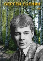 DVD "Сергей Есенин" - fgospostavki.ru - Яблоновский