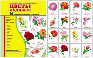 Демонстрационные карточки "Цветы садовые" - fgospostavki.ru - Яблоновский