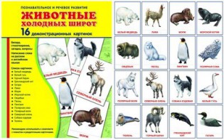 Демонстрационные карточки "Животные холодных широт" - fgospostavki.ru - Яблоновский