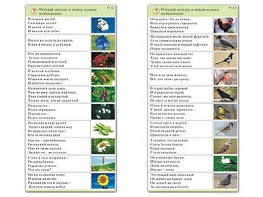 Комплект карточек (10) "Обучающий калейдоскоп. Природа" - fgospostavki.ru - Яблоновский