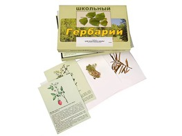 Гербарий "Для начальной школы" (30 видов, с иллюстрациями) - fgospostavki.ru - Яблоновский