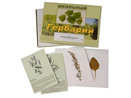 Гербарий "Лекарственные растения" (22 вида с иллюстрациями) - fgospostavki.ru - Яблоновский