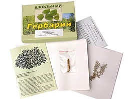 Гербарий "Водоросли. Грибы. Лишайники" (раздаточный) - fgospostavki.ru - Яблоновский