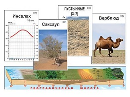 Модель-аппликация "Природные зоны" - fgospostavki.ru - Яблоновский