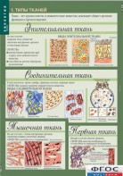 Комплект таблиц. Биология 8-9 класс. Человек. - fgospostavki.ru - Яблоновский