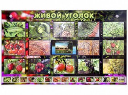 Комплект оборудования "Живой уголок" (растения) с тифлопереводом и сурдокомментариями - fgospostavki.ru - Яблоновский