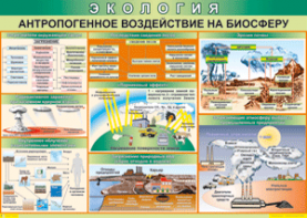Таблица "Антропогенное воздействие на биосферу" (100х140 сантиметров, винил) - fgospostavki.ru - Яблоновский