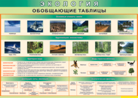 Таблица "Экология. Обобщающие таблицы" (100х140 сантиметров, винил) - fgospostavki.ru - Яблоновский