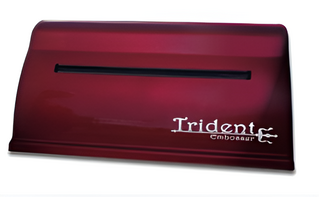 Принтер для печати рельефно-точечным шрифтом Брайля Trident - fgospostavki.ru - Яблоновский