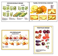 Плакаты ПРОФТЕХ "Ассортимент овощных культур" (12 пл, винил, 70х100) - fgospostavki.ru - Яблоновский