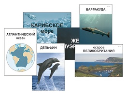 Модель-аппликация "Океаны. Знакомство" (ламинированная) - fgospostavki.ru - Яблоновский