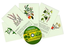 Интерактивный наглядный комплекс "Гербарий "Для начальной школы" - fgospostavki.ru - Яблоновский