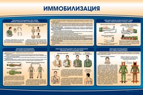 Стенд "Иммобилизация" - fgospostavki.ru - Яблоновский