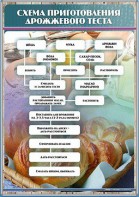 Стенд "Схема приготовления дрожжевого теста" - fgospostavki.ru - Яблоновский
